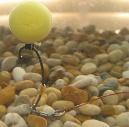 Nice Carp :) - fa765c61f7d403671dbcaa176b7a185e.jpg